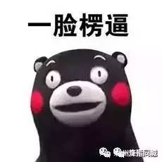 家中暗藏充气娃娃和情趣内衣…太污啦！冰球突破爆百万大奖【好污】台州一男子